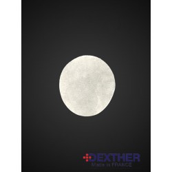 Membrane filtrante pour filtre de bocal de sécurité